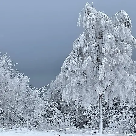 アパート Heartbeat