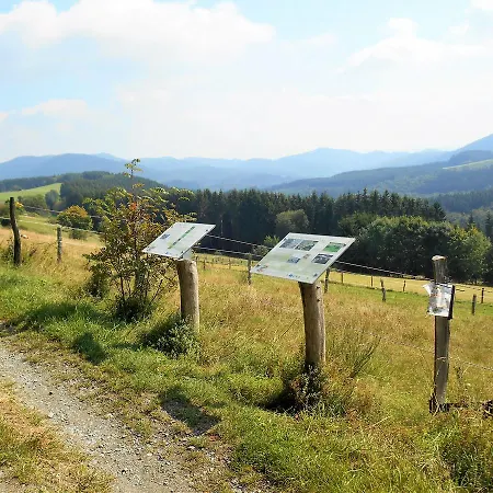 Heartbeat Apartment Winterberg